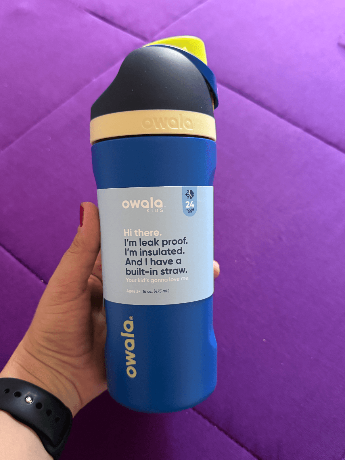 Garrafa owala 475ml